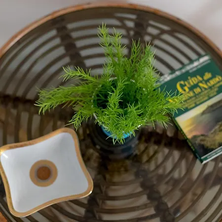 La Dimora Dei Nipoti Appartement